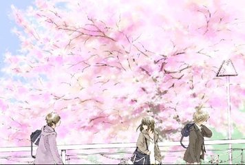 黄页网站免费版91